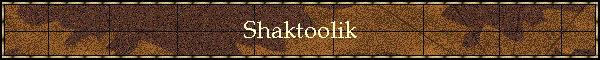 Shaktoolik