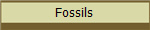 Fossils